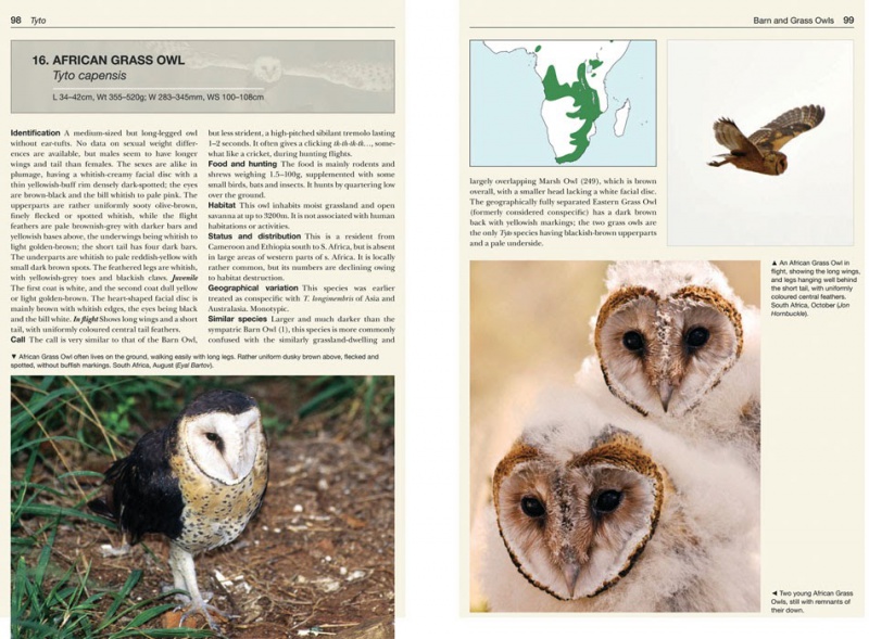 Owls of the World A Photographic Guide LaniusBooks